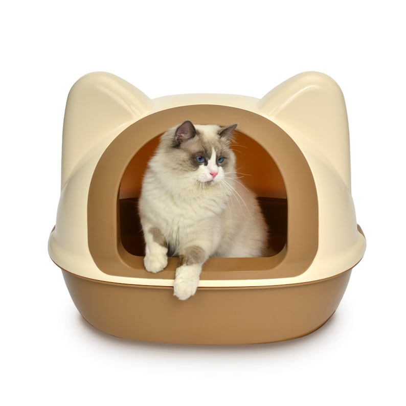 KEWOOW Cat Litter Box With Ears, and With Shovel, Front Door, MEDIUM