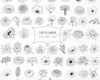 Paquete de 100 archivos de corte de flores silvestres con diseño botánico, flores, hojas, imágenes prediseñadas botánicas dibujadas a mano, estilo doodle svg, png, eps, para cricut
