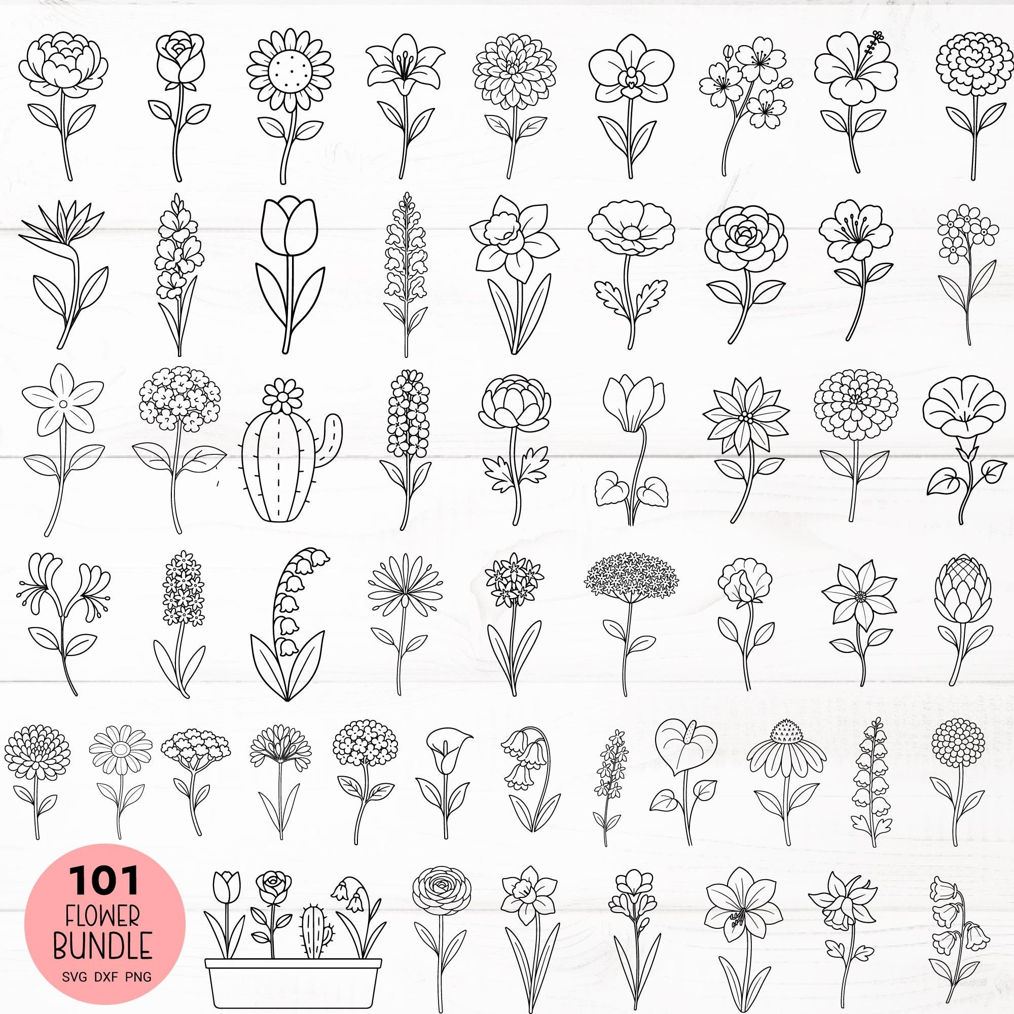 101 Flower SVG Bundle Cut File, Preview Flower Name PNG Clipart,Rose,Sunflower, Wildflower Line Art,Hand Drawn,Instant Download,High Quality