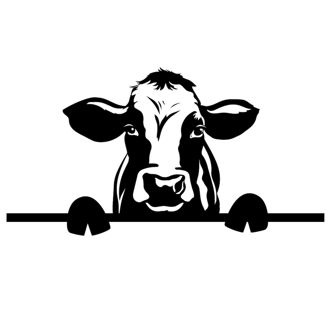 Cow Face SVG Head Cow Cow Silhouette Cow Clipart for Text Cricut File for  Cricut Silhouette,cameo - Etsy Finland, image size:1080x1080