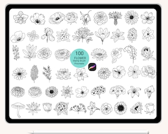 100 Procreate Stempel Botanische Blume Blatt Wildblumen Natur Brushset Abstraktes Gekritzel, von Hand gezeichnet, Blätter, für Procreate