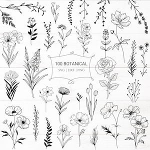 100 Botanical Svg Bundle Wildflower Cut File, Floral,Flower leaf,leaves ,Botanical clipart hand drawn doodle style svg,png,eps, for cricut