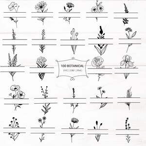 100 florale Blumen Umrandung Bundle Cut Datei botanische Wildblumen für Cricut Split Monogramm für Text Blatt Blätter Blume Clipart Png svg dxf
