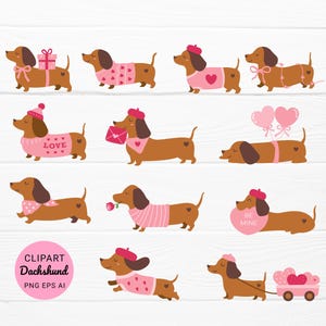 Könnte beinhalten: Illustrationen von Cartoon-Dackeln in verschiedenen Posen, die rosa Pullover, Hüte und Accessoires tragen. Einige Hunde halten Geschenke, Rosen oder Valentinstag-Herzen. Der Text "CLIPART Dachshund" ist enthalten.