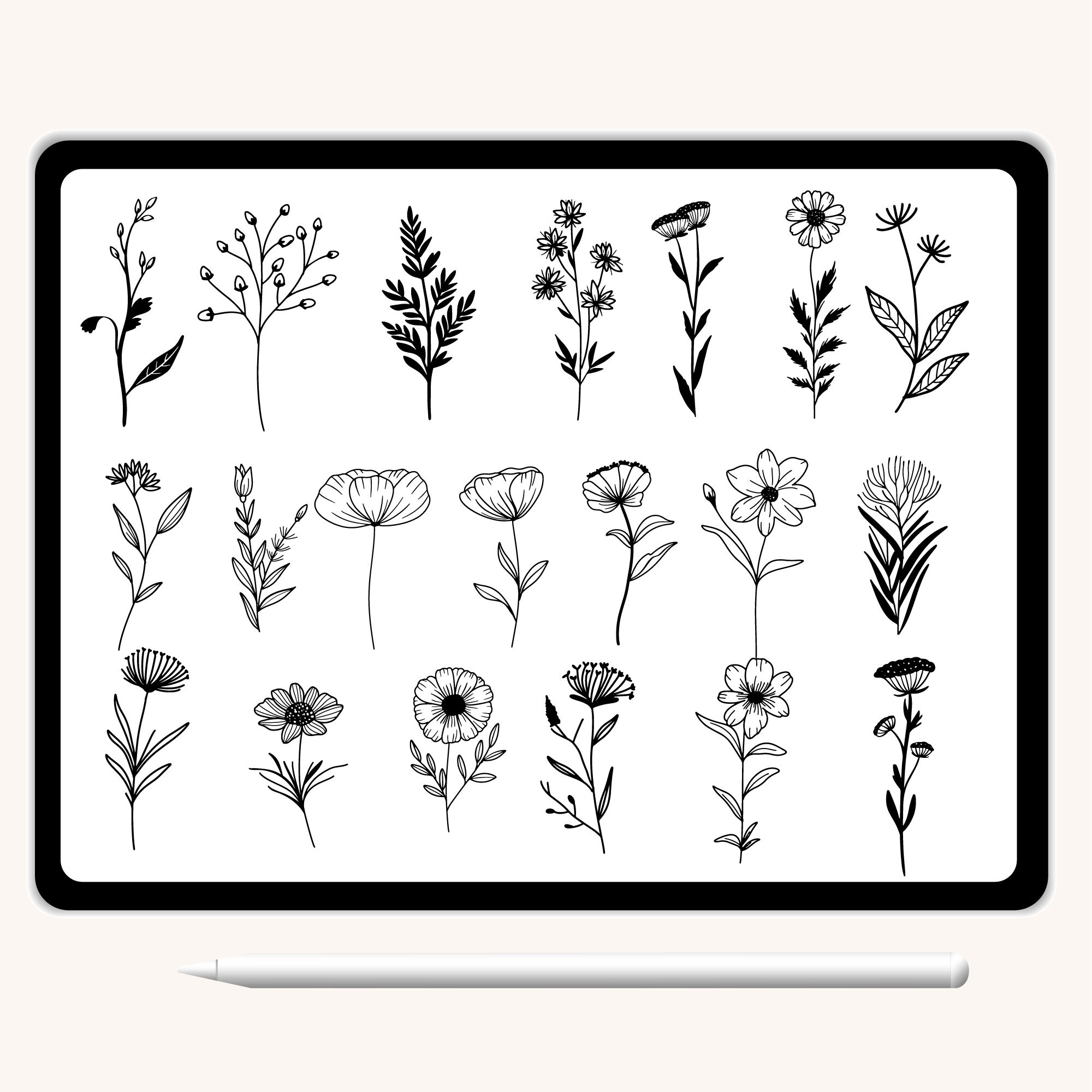 100 Procreate Stamps Botanical Flower Leaf Animal Wildflower Nature ...
