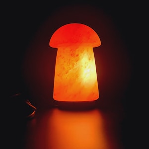Hand Carved Himalayan Salt Mushroom Lamp: Healing Ionizer Table Lamp
