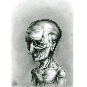 Original Pencil Drawing, Portrait X.
