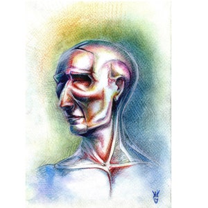 Original Pencil Drawing, Portrait VI.