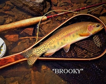 Fly Fishing Net, Brook Trout Landing Net