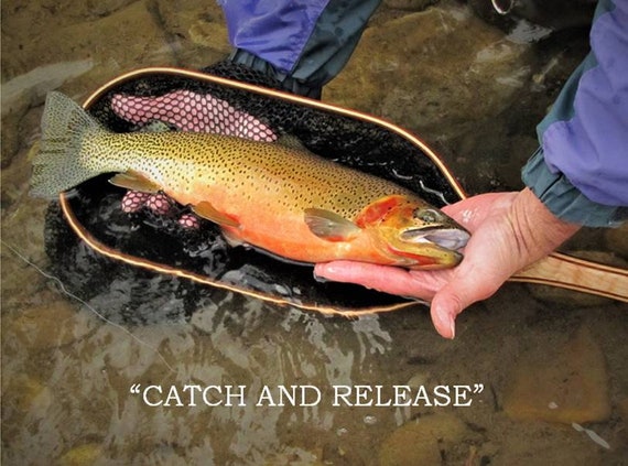 battenkill bar stock disc drag fly reel Orvis III Matte Olive Handcrafted graphite and fiberglass The Battenkill disc fly Inshore Rigging Okuma Reel Model:80W 3.1:1 H / 1.2:1 L