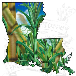 Louisiana Sugarcane (ORIGINAL ARTWORK), Louisiana Sugarcane Png, Sublimation, digitaler Download, png
