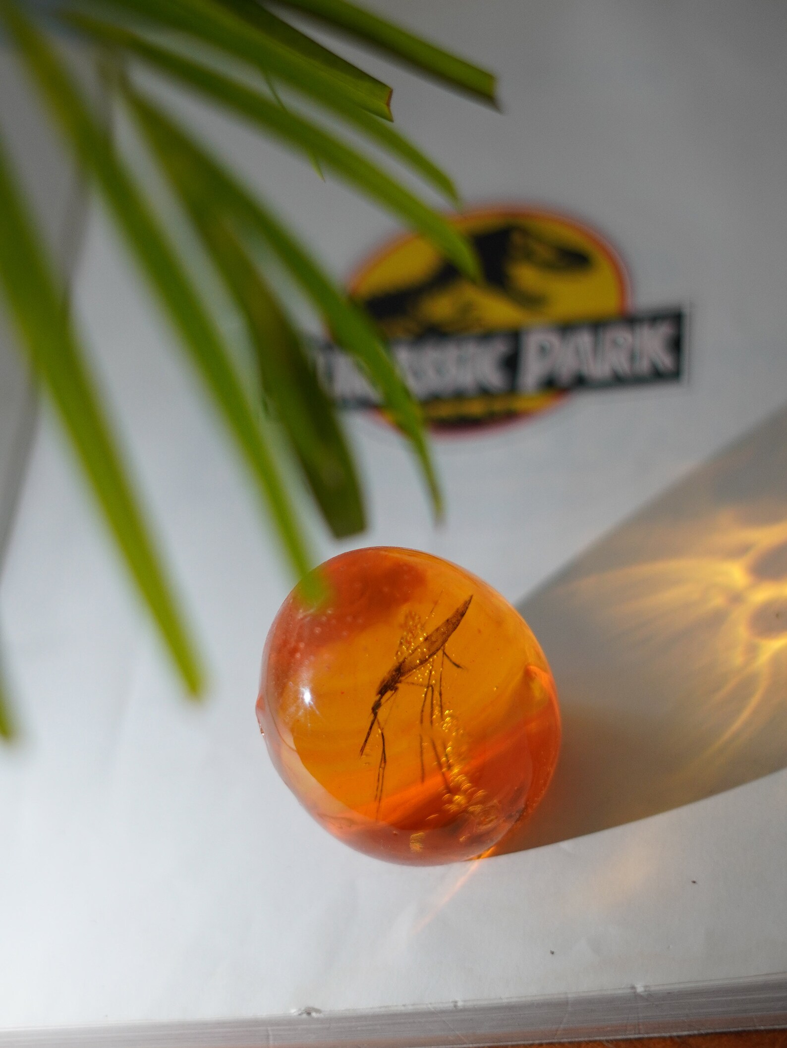 Ambre moustique Jurassic Park Etsy France