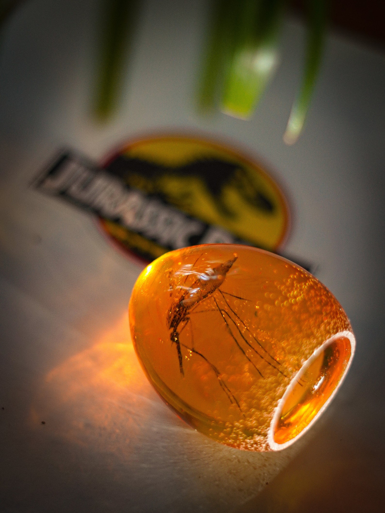 Ambre moustique Jurassic Park Etsy France