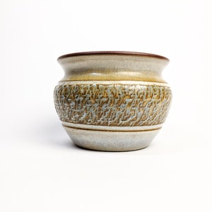 May include: A brown and white ceramic planter with a textured design. The planter has a rounded shape and a wide opening.