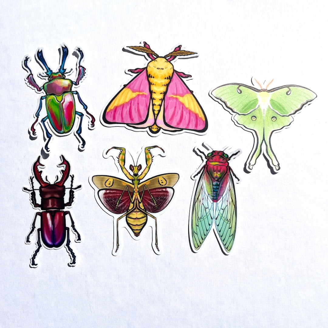 Insect Rainbow Sticker Insect Illustration Vinyl Stickers - Etsy