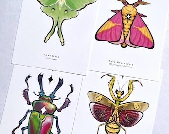Insect Illustration Prints