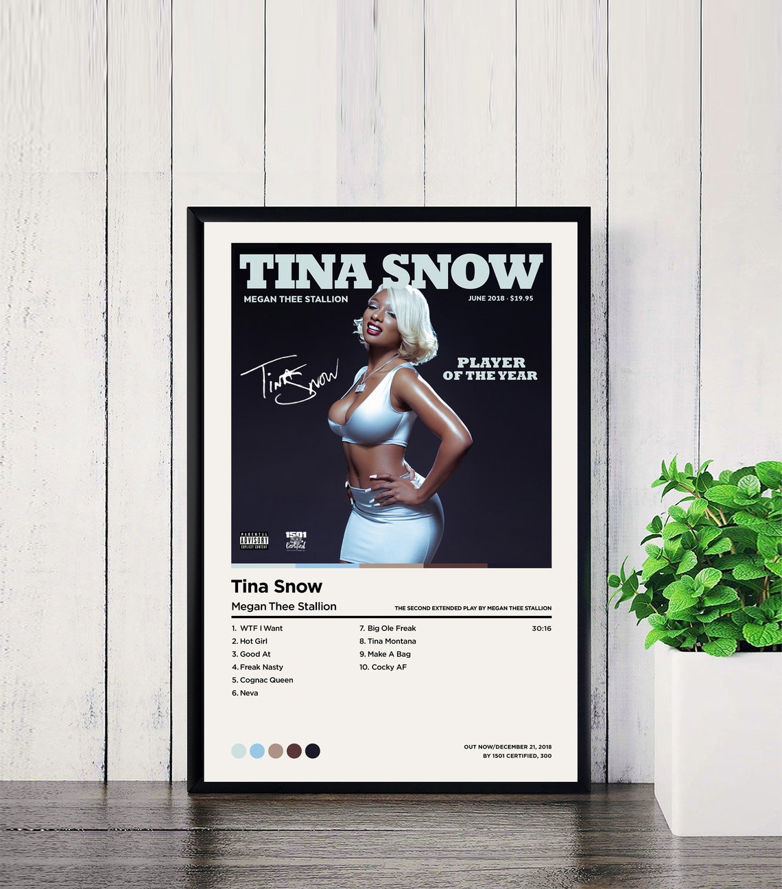Megan Thee Stallion Posters Tina Snow Poster / Tracklist Etsy