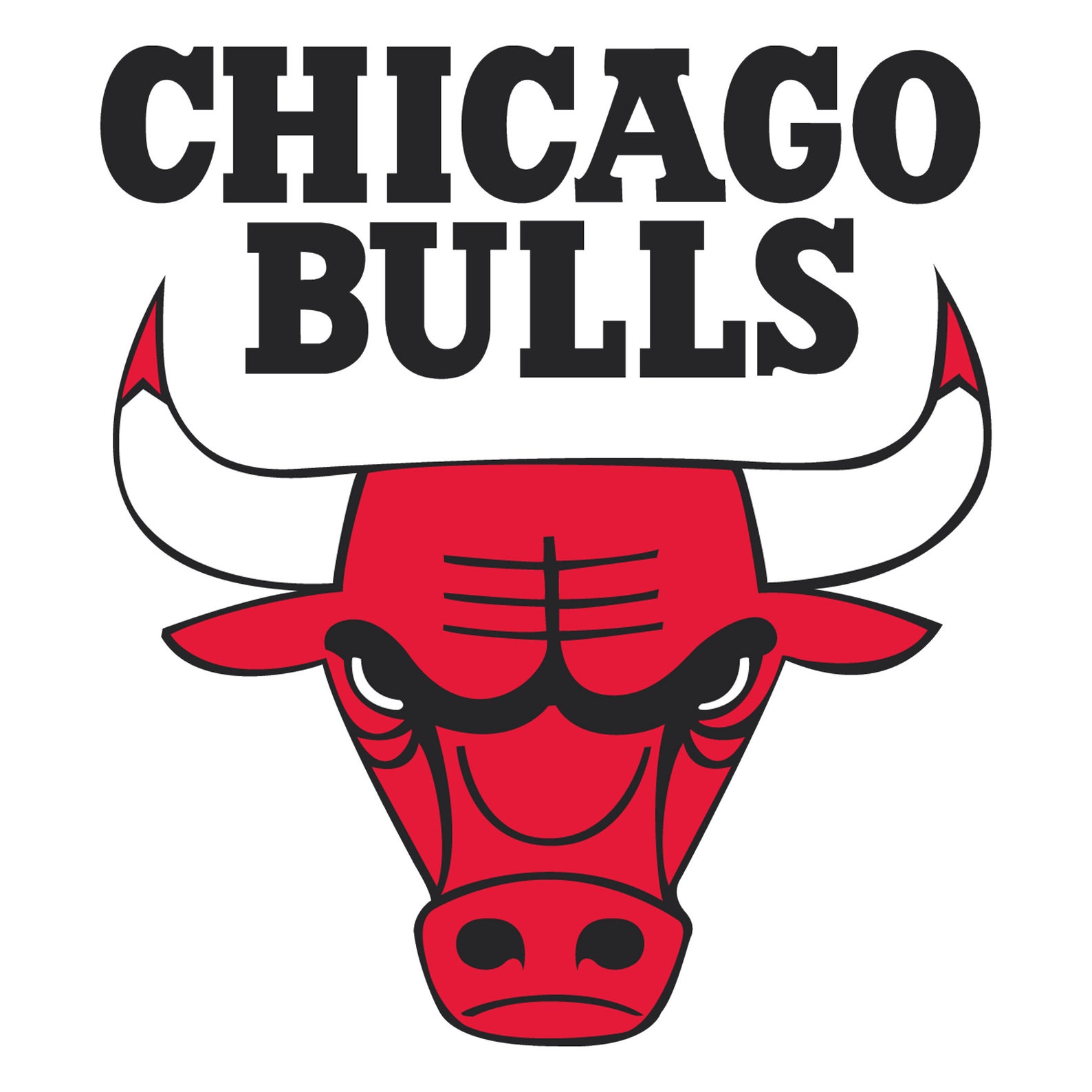 Chicago Bulls Logo Pixel Art