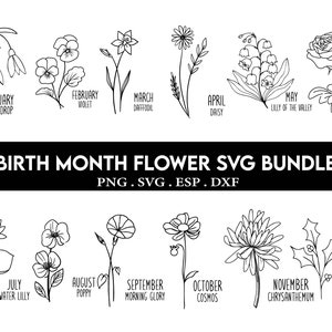 Birth Month Flower Svg Bundle, Flower Svg, Birth Flower Svg, Floral svg, Botanical svg, Rose svg, Daisy svg, Poppy svg, Wildflower svg