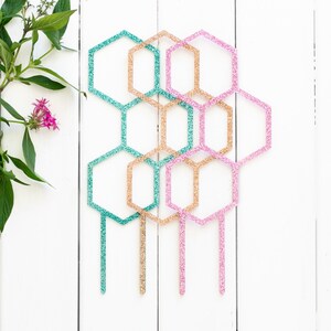 Plant Climber - Plant Trellis - Plant Support - Hexagon - Pollen