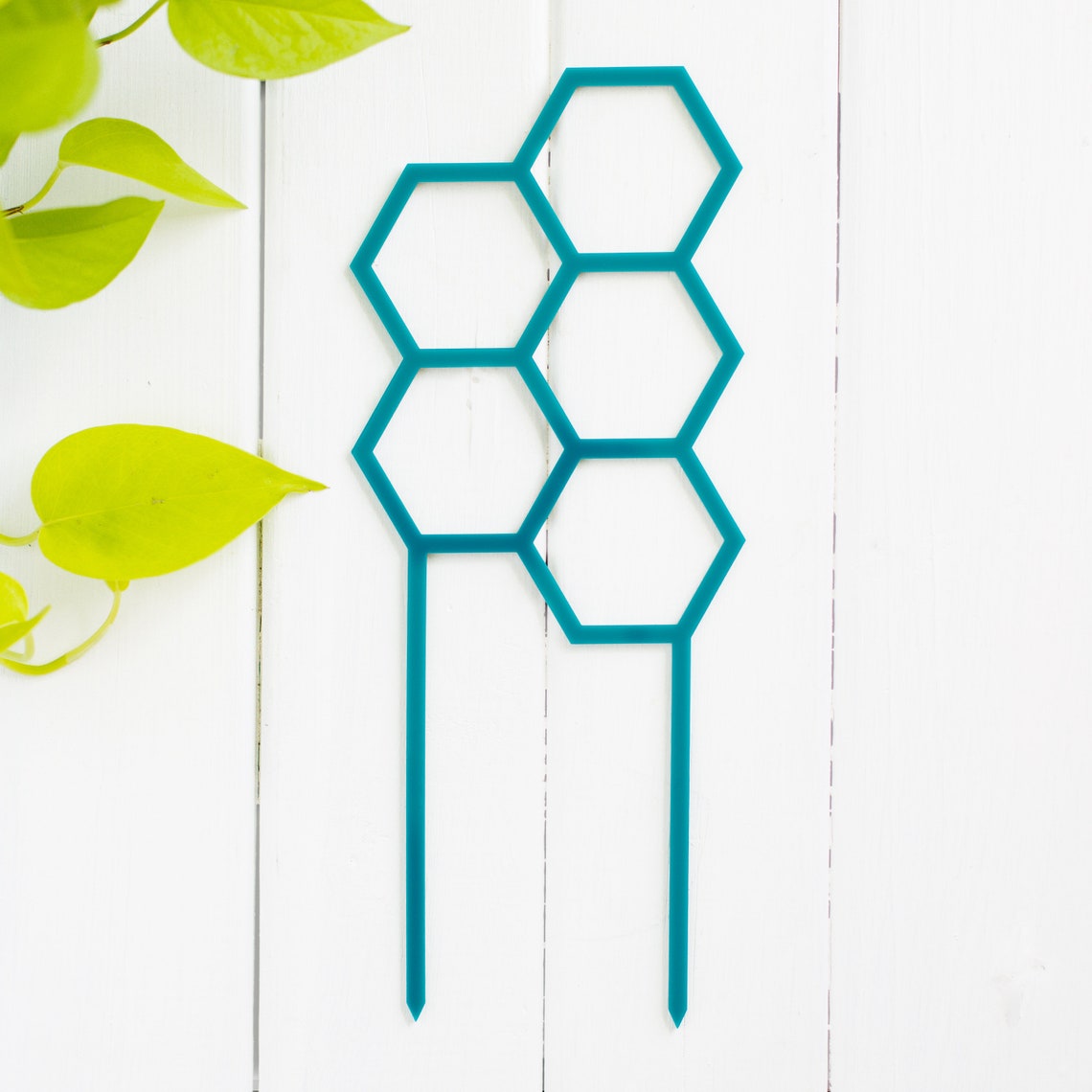 Plant Climber Plant Trellis Plant Support Hexagon Etsy