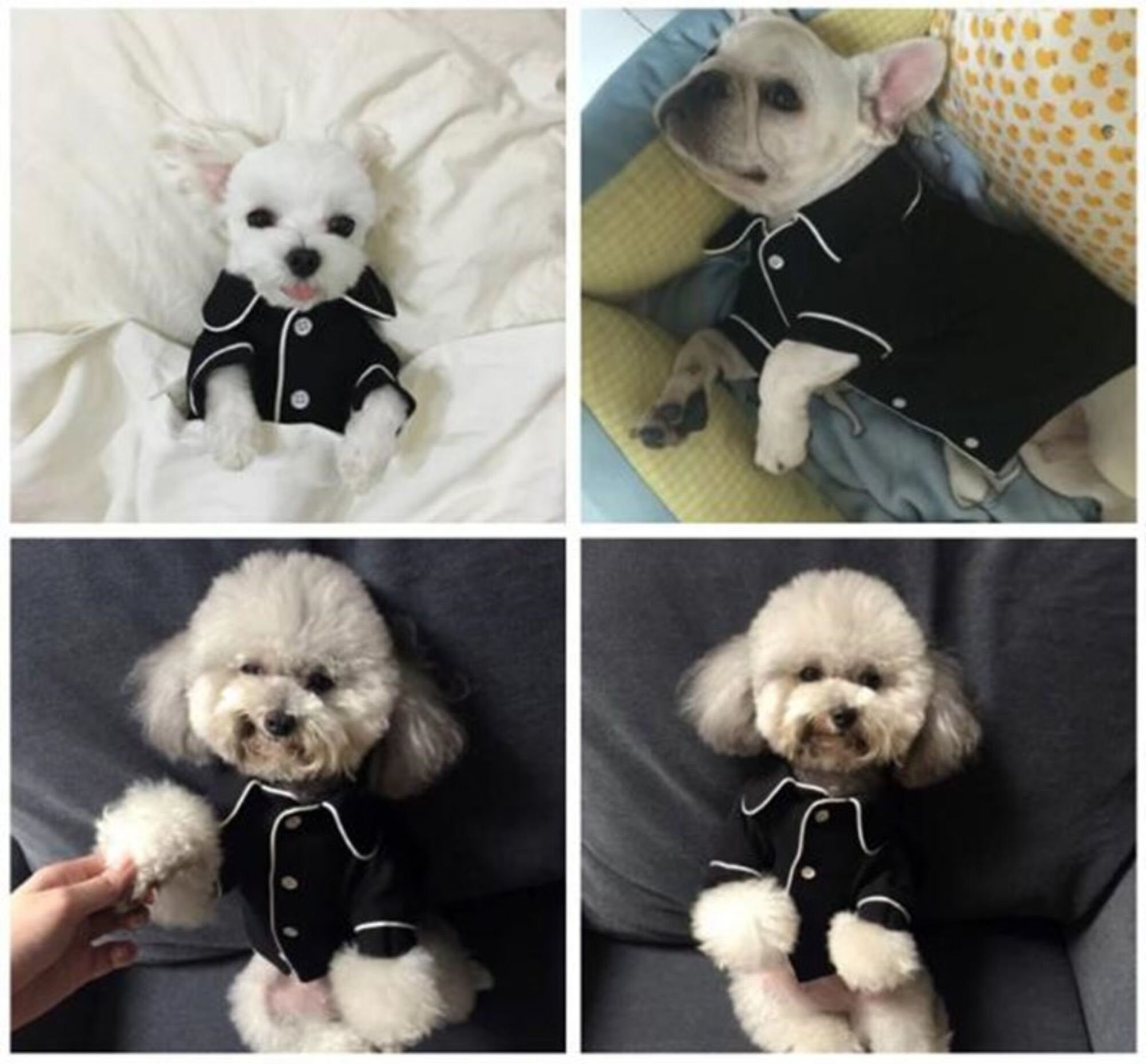 Luxury Clothes for Dog Fashion Dog Pajamas Pet Clothing for Etsy