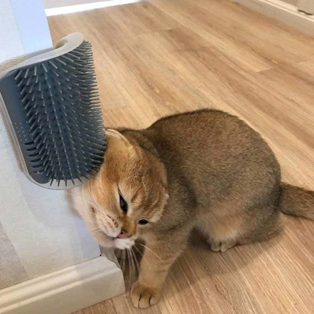 cat comb corner mounted brush