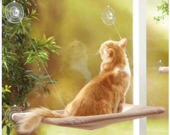 free standing cat hammock