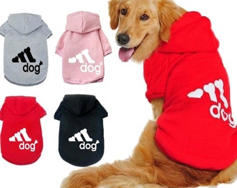 adidas dog