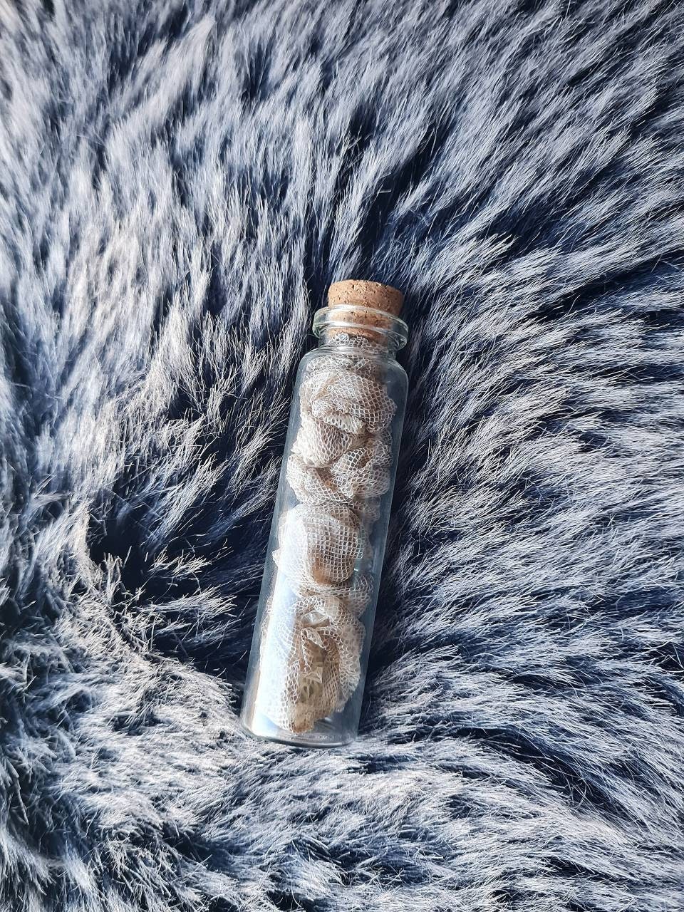 Véritable Mue de Serpent