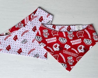 UW University of Wisconsin Dog Bandana