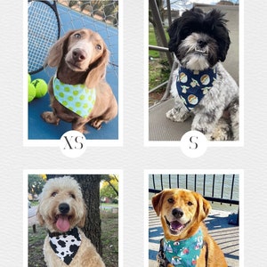 Może przedstawiać: Zdjęcie przedstawia bandany 'The Goodest Pup'. Cztery psy r&oacute;żnych ras noszą bandany w rozmiarach XS, S, M i L. Każda bandana ma unikalny wz&oacute;r. Tekst 'The Goodest Pup Bandanas' znajduje się na g&oacute;rze.