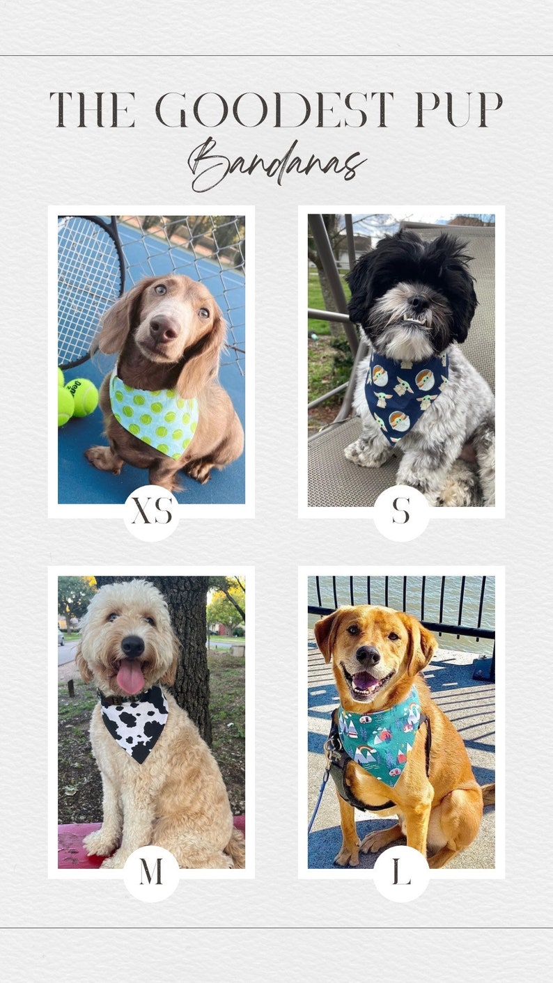 Może przedstawiać: Zdjęcie przedstawia bandany 'The Goodest Pup'. Cztery psy r&oacute;żnych ras noszą bandany w rozmiarach XS, S, M i L. Każda bandana ma unikalny wz&oacute;r. Tekst 'The Goodest Pup Bandanas' znajduje się na g&oacute;rze.