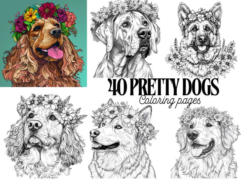 Puede incluir: Un libro para colorear con 40 razas de perros diferentes que llevan coronas de flores. La portada muestra un cocker spaniel, un gran dan&eacute;s y un pastor alem&aacute;n.