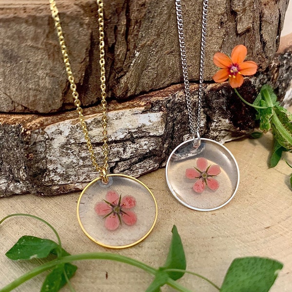 Collier vraie fleur séchée Pimpernel rouge, pendentif rond doré ou argenté, acier inoxydable, résine, bijou nature