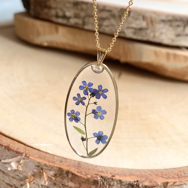 Collier Grand Myosotis vraie fleur séchée, Oubliez moi pas, pendentif ovale doré, chaîne acier inoxydable, résine, bijou nature