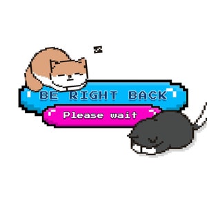 May include: Pixelated graphic with two sleeping cats and the text "BE RIGHT BACK" in a blue rectangle and "Please wait" in a pink rectangle. The cats are brown and black.