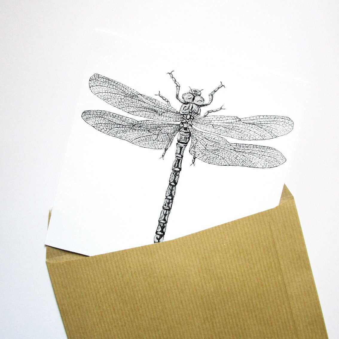 Print Libellule Format Lettre