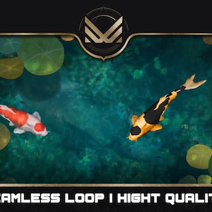 Könnte beinhalten: Eine nahtlose Schleifenanimation von drei bunten Koi-Karpfen, die in einem Teich mit grünen Seerosen schwimmen. Die Animation ist von hoher Qualität und perfekt, um jedem Videoprojekt einen Hauch von Natur zu verleihen.