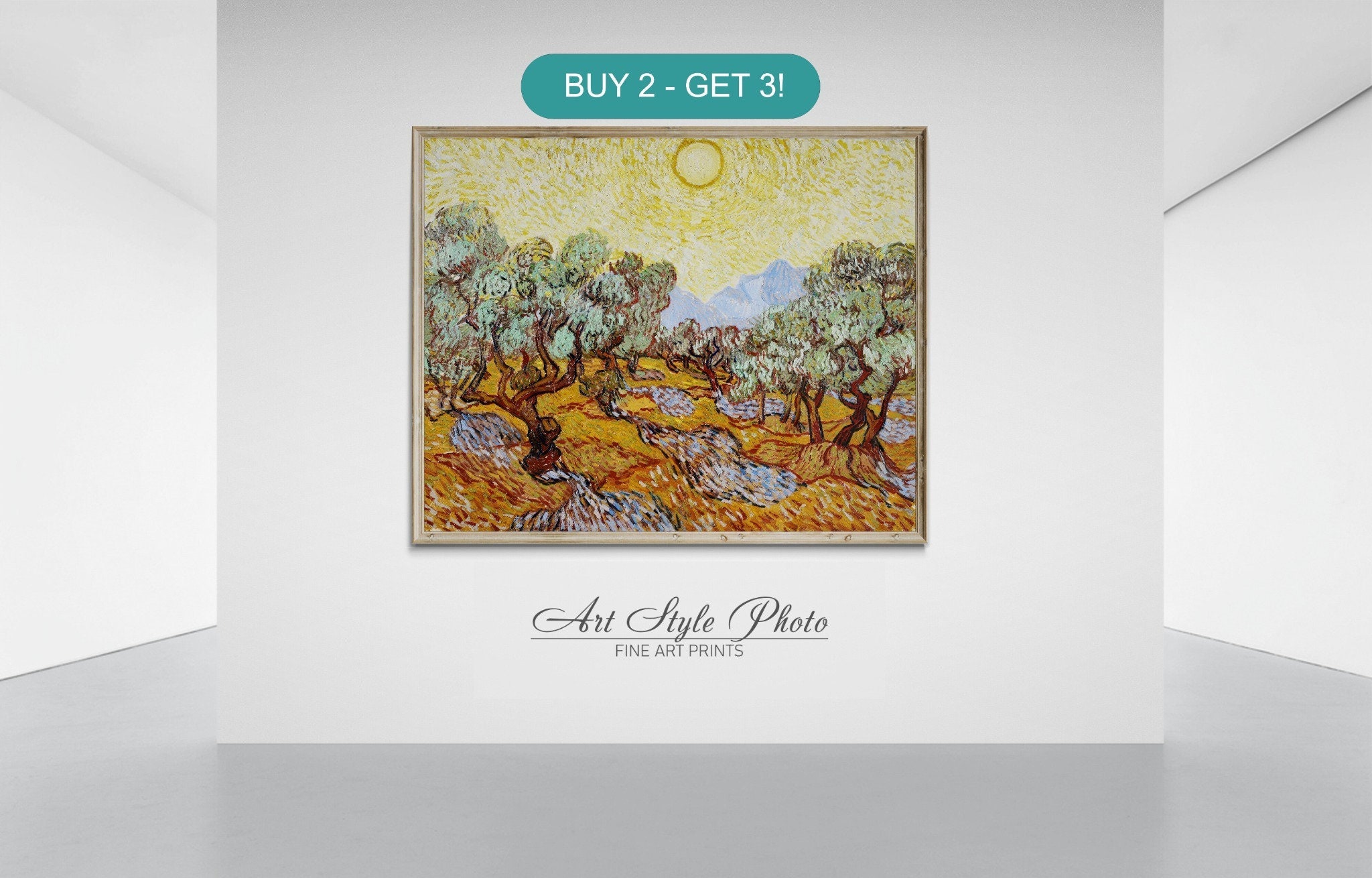 洋書 Vincent van Gogh Paintings & Drawings Vincent Van Gogh: The Drawings: Gogh, Vincent Van, Ives