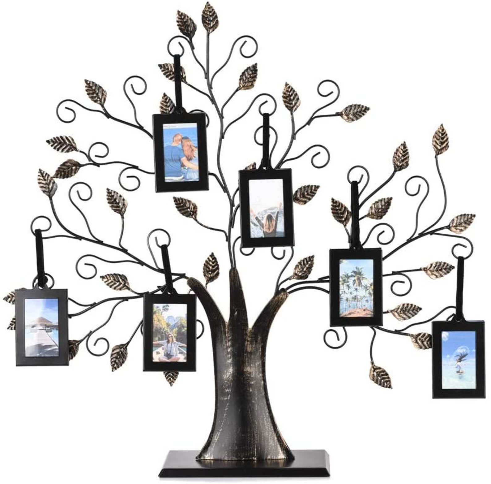 Family Tree Photo Frame with 6 Hanging Picture Frames by Etsy