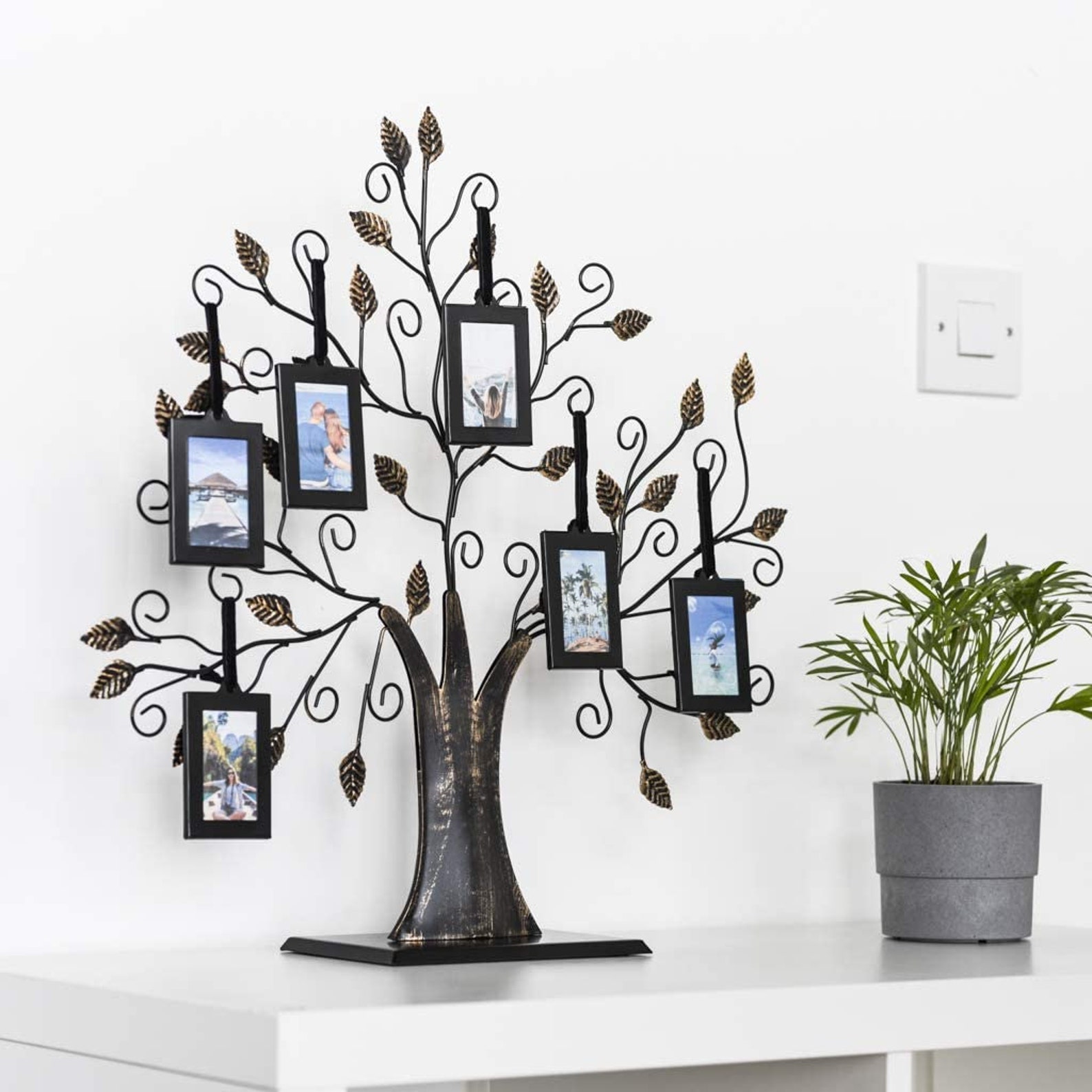 Family Tree Photo Frame with 6 Hanging Picture Frames by Etsy