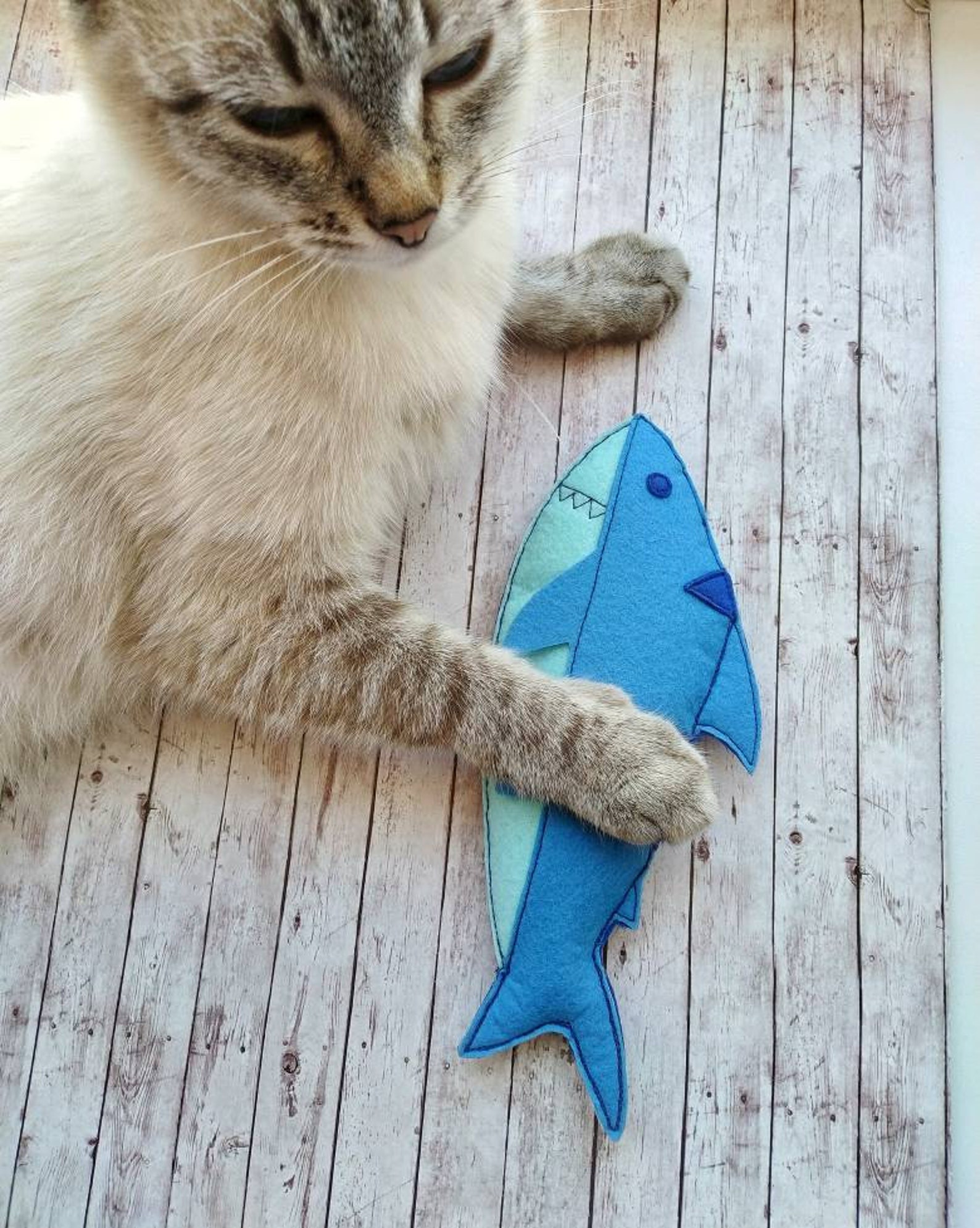 Catnip cat toys Shark fishes Fish toy Felt toys Best gift for Etsy