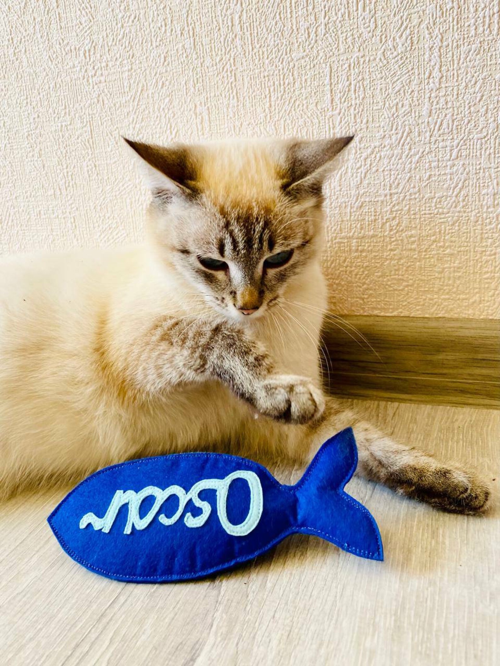 Nouveau cadeau de chat Personnalisé Catnip et Valérian Fish | Etsy