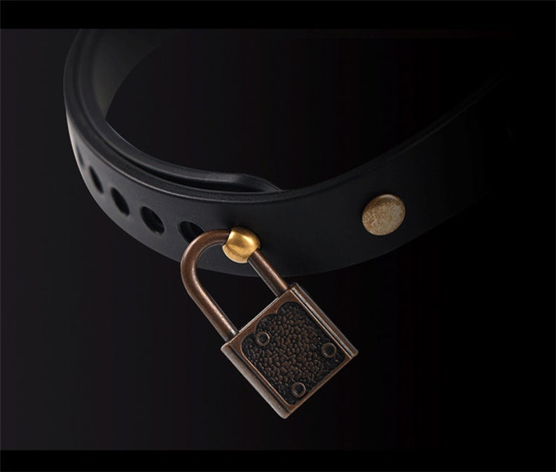 Lockink Little Devil App Controlled Shock Collar Etsy