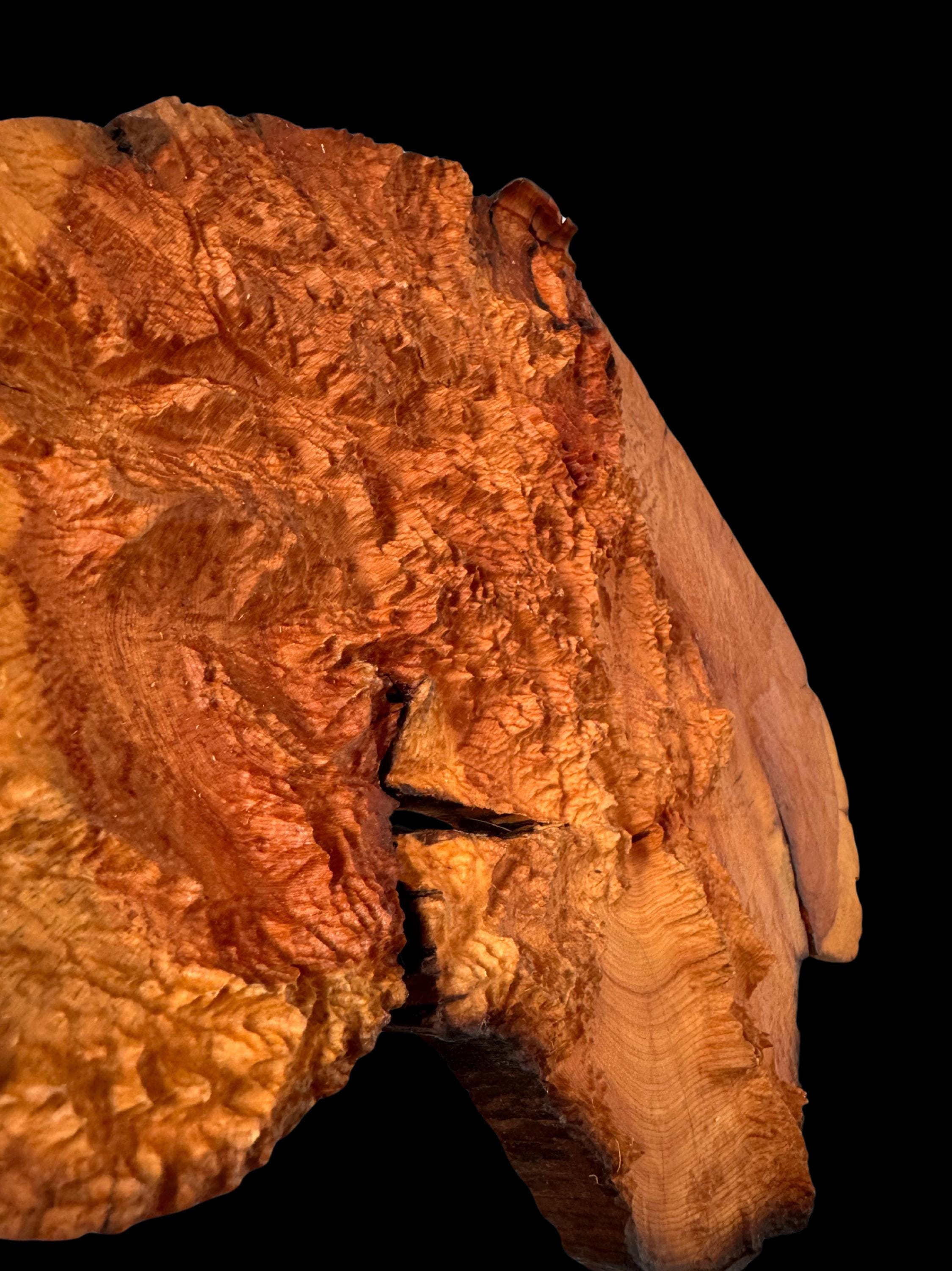 Image showcasing Ancient Bristlecone Pine Colorado 3D Map - Hand-finished Wood Art ...