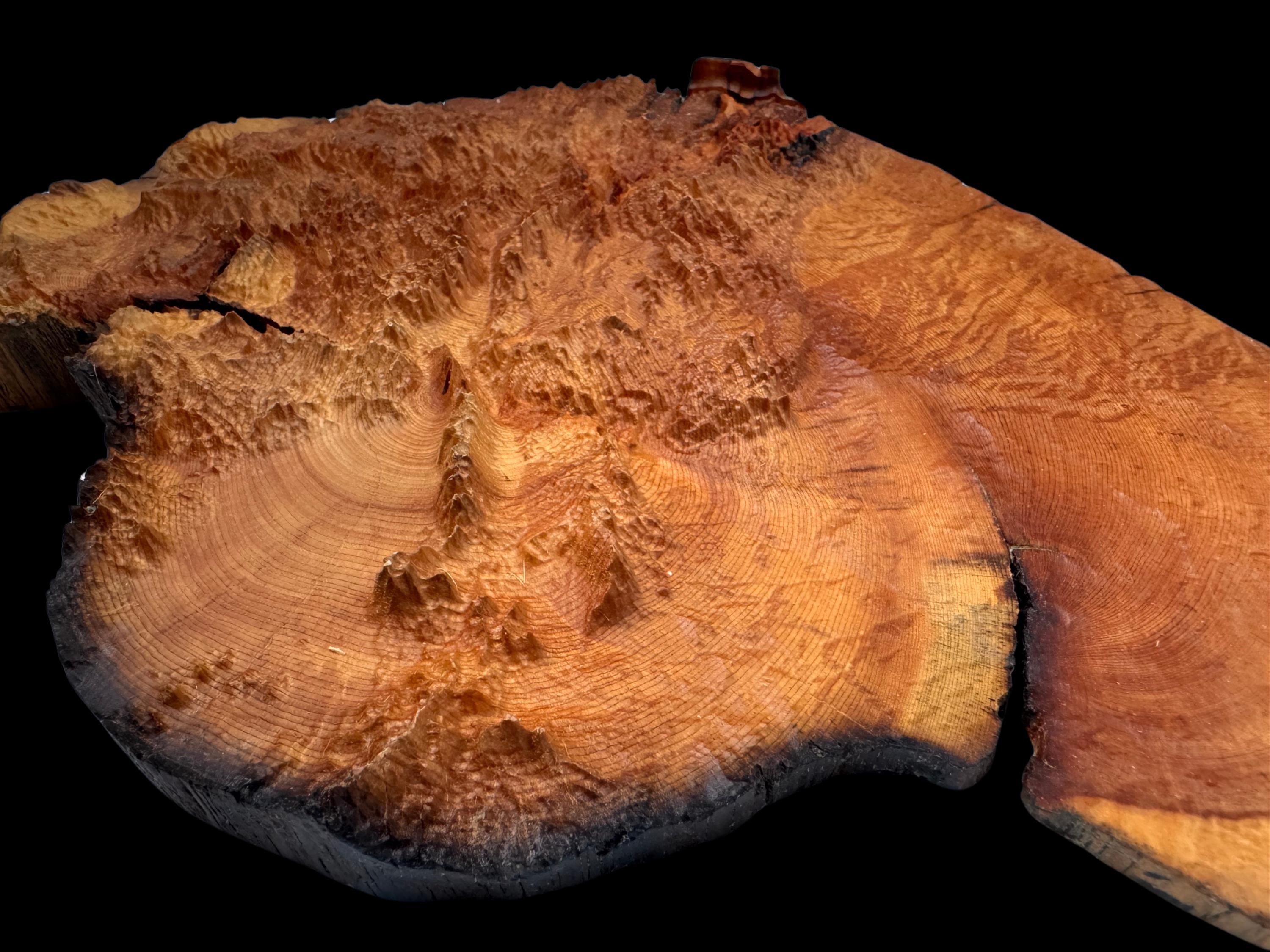 Picture of Ancient Bristlecone Pine Colorado 3D Map - Hand-finished Wood Art ...