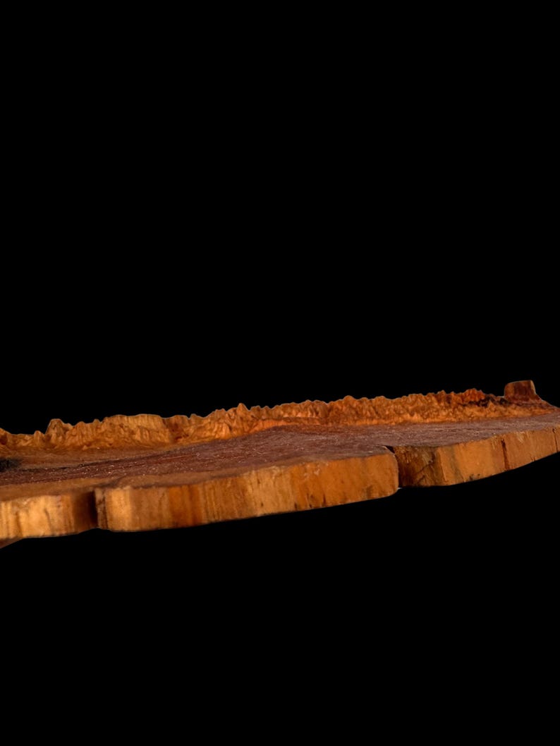 Picture of Ancient Bristlecone Pine Colorado 3D Map - Hand-finished Wood Art ...
