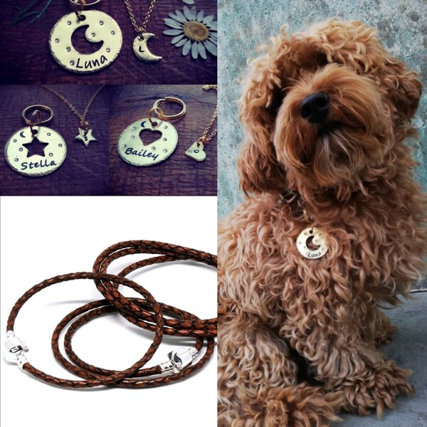 Dog Collar Matching Bracelet Etsy