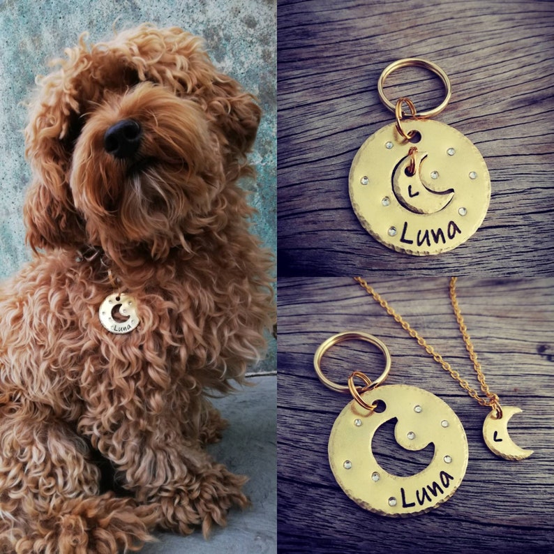 Puede incluir: Chapa de perro dorada con un dise&ntilde;o de luna creciente y estrellas. La chapa est&aacute; grabada con el nombre "Luna".